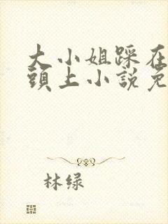 大小姐踩在奴婢头上小说免费阅读