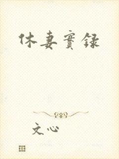 休妻实录封面