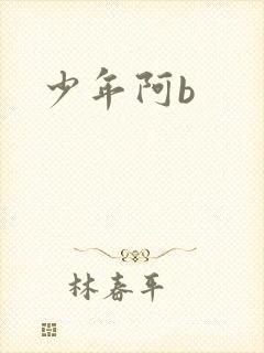 少年阿b