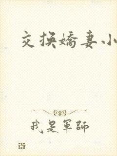 交换娇妻小说