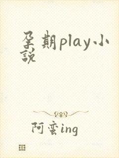 孕期play小说