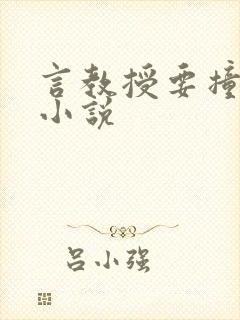 言教授要撞坏了小说