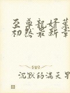 至尊龙婿叶辰萧初然最新章节封面