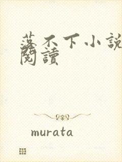 落不下小说免费阅读封面