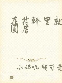 在花轿里就开始圆房