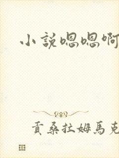 小说嗯嗯啊啊封面