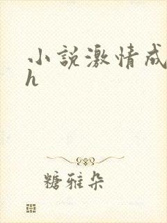 小说激情成人高h