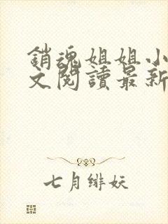 销魂姐姐小说全文阅读最新章节列表