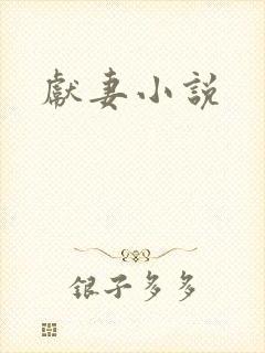 献妻小说封面
