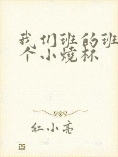 我们班的班花是个小烧杯封面