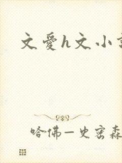 文爱h文小说
