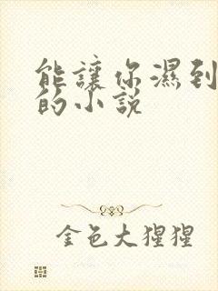 能让你湿到不行的小说