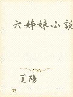 六姊妹小说封面