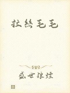 拉丝毛毛