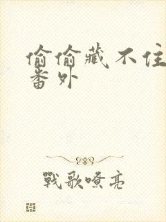 偷偷藏不住新婚番外