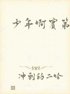 少年啊宾第二部