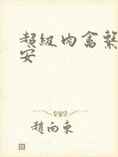 超级肉禽系统保安封面