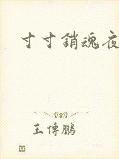 寸寸销魂夜春光