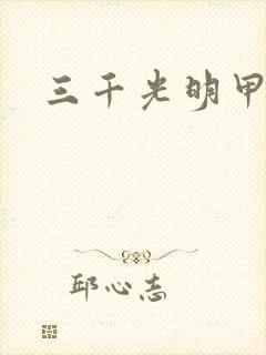 三千光明甲封面