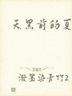 天黑前的夏天