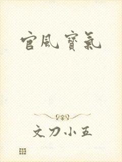 官风宝气封面