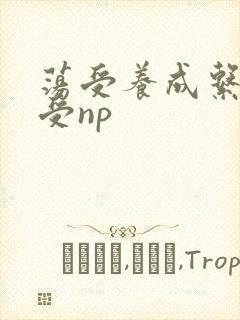 荡受养成系统总受np