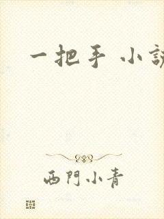 一把手 小说封面