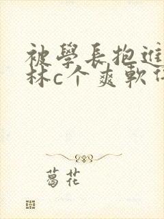 被学长抱进小树林c个爽软件