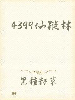 4399仙踪林封面