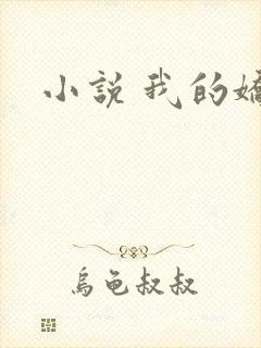 小说 我的娇妻封面