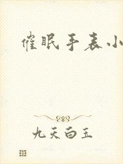 催眠手表小说封面