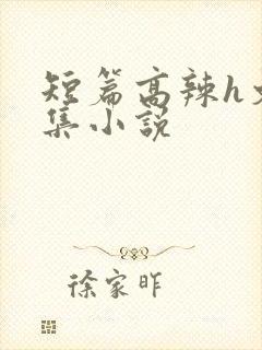短篇高辣h文合集小说