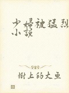 少妇被猛烈进入小说