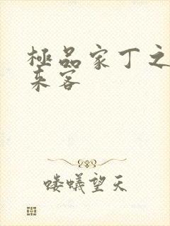 极品家丁之远方来客