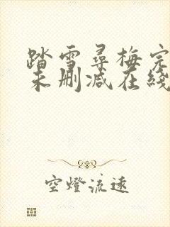 踏雪寻梅完整版未删减在线免费观看封面