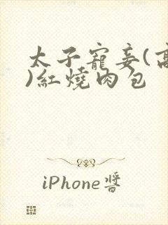 太子宠妾(高肉)红烧肉包