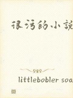 很污的小说