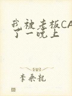 我被老板CAO了一晚上