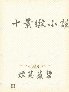 十景缎小说