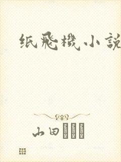 纸飞机小说