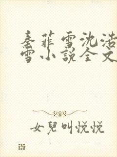 秦菲雪沈浩秦菲雪小说全文免费阅读求书