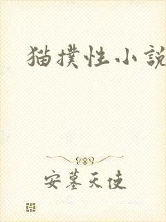 猫扑性小说