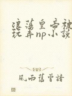 浪荡皇帝被多人玩弄np小说