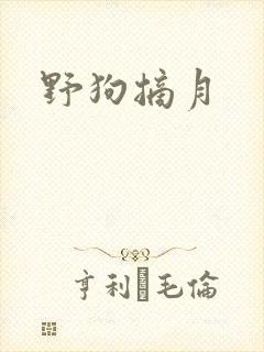 野狗摘月