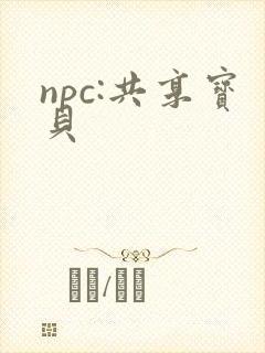 npc:共享宝贝