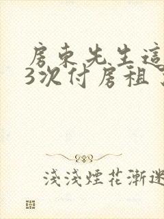 房东先生这是第3次付房租了封面