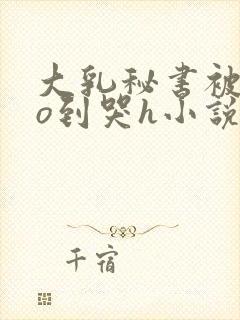 大乳秘书被cao到哭h小说