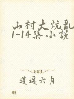 山村大炕乱肉续1-14集小说