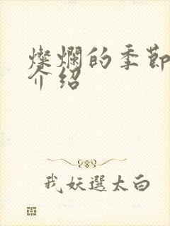 灿烂的季节剧情介绍封面