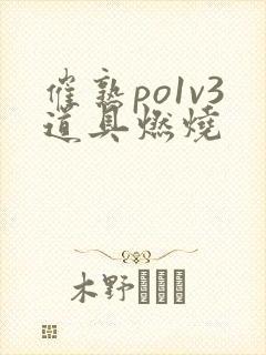 催熟po1v3道具燃烧封面